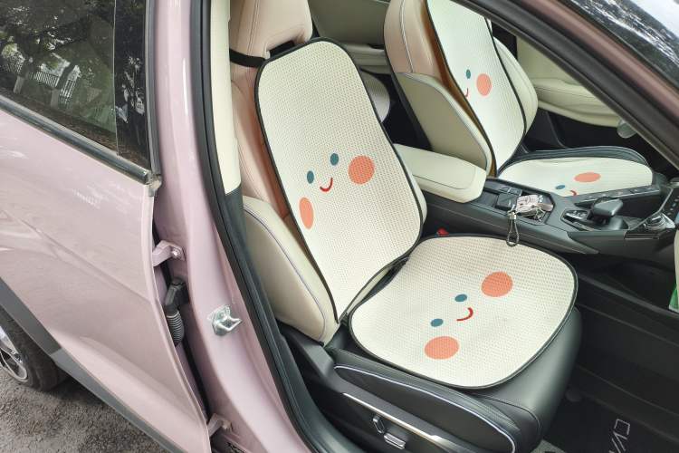 Used Lynk & Co 06 2021 1.5T Shero Pink Special Edition Right Front Seat