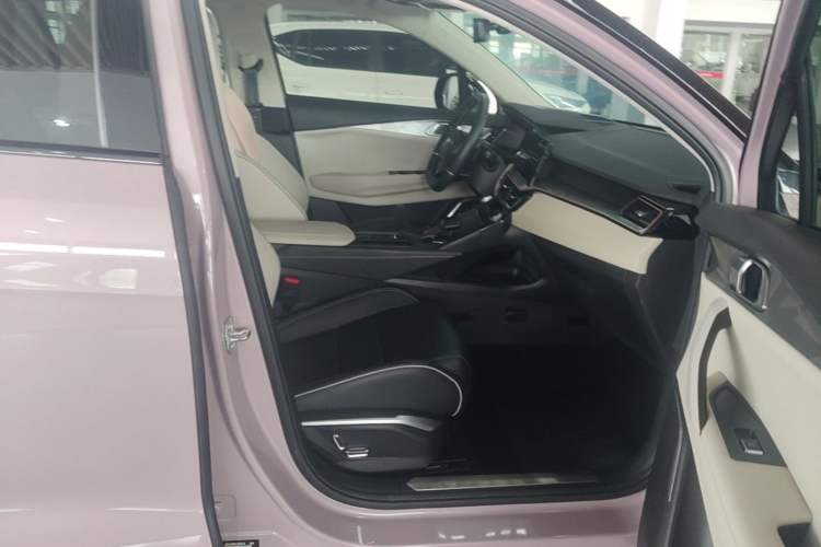 Used Lynk & Co 06 2021 1.5T Shero Pink Special Edition Right Front Seat