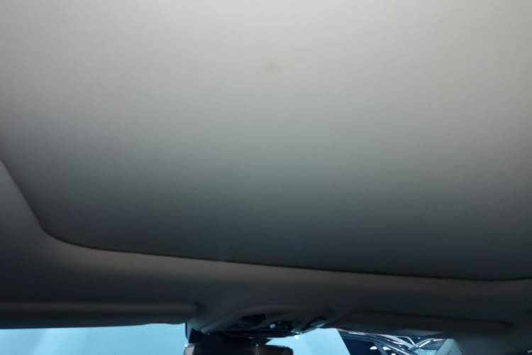 Used Lynk & Co 06 2021 1.5T Shero Pink Special Edition Headliner