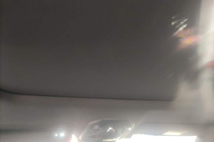 Used Lynk & Co 06 2023 Remix 1.5T Dynamic Halo Headliner