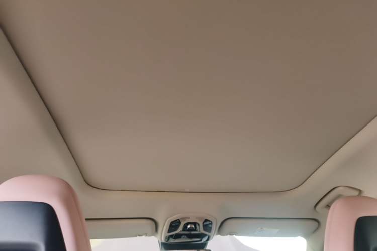 Used Lynk & Co 06 2023 Remix 1.5T Shero Headliner