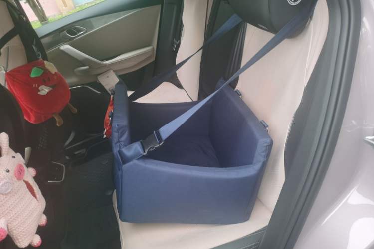 Used Lynk & Co 06 2023 Remix 1.5T Shero Left Rear Seat