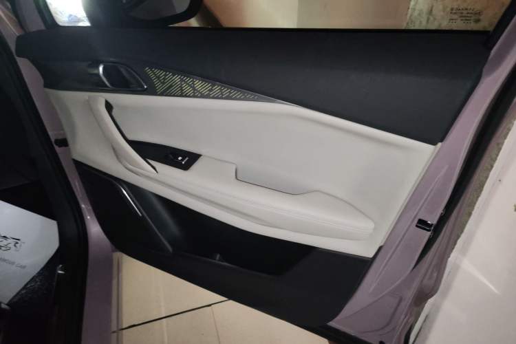 Used Lynk & Co 06 2023 Remix 1.5T Shero Right Front Door Interior