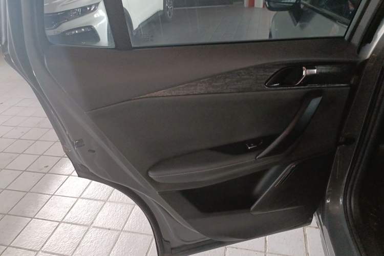 Used Lynk & Co 06 2023 Remix 1.5T JinPro Left Rear Door Interior