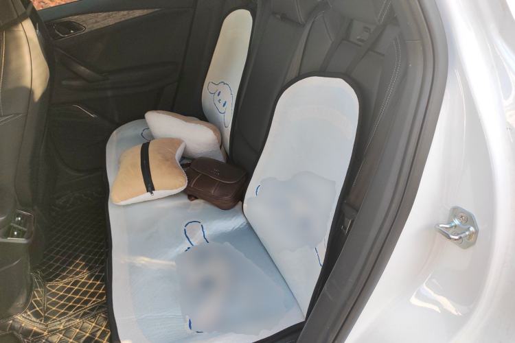 Used Lynk & Co 06 2023 Remix 1.5T JinPro Left Rear Seat