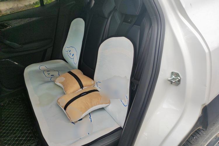 Used Lynk & Co 06 2023 Remix 1.5T JinPro Left Rear Seat