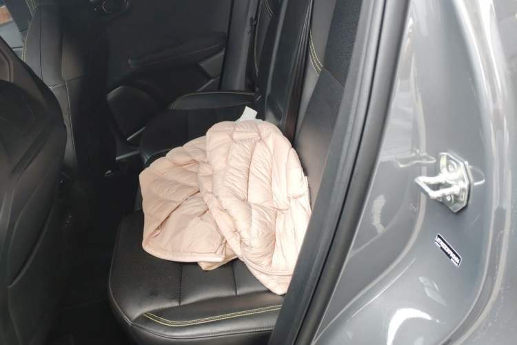 Used Lynk & Co 06 2025 Renew 1.5T Halo Left Rear Seat