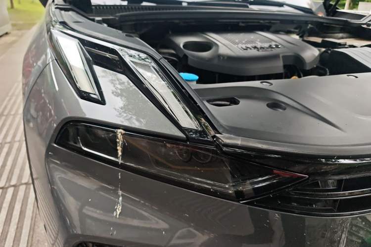 Used Lynk & Co 06 2025 Renew 1.5T Halo Exterior 6