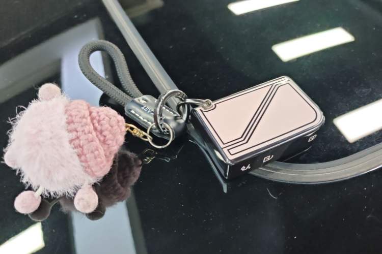 Used Lynk & Co 06 2025 Renew 1.5T Halo Vehicle Key