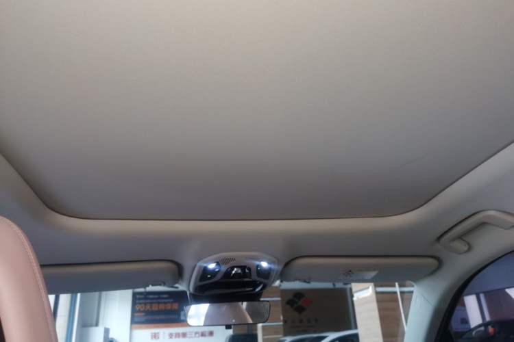 Used Lynk & Co 06 EM-P 2023 1.5T Remix PHEV Shero Headliner