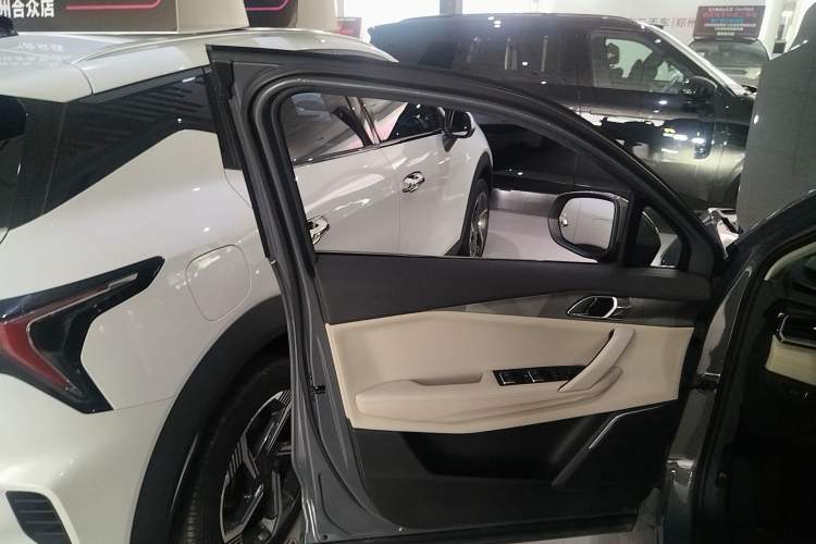Used Lynk & Co 06 EM-P 2020 PHEV Plus Left Front Door Interior