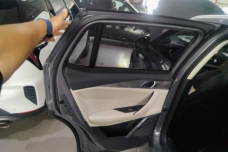 Used Lynk & Co 06 EM-P 2020 PHEV Plus Left Rear Door Interior