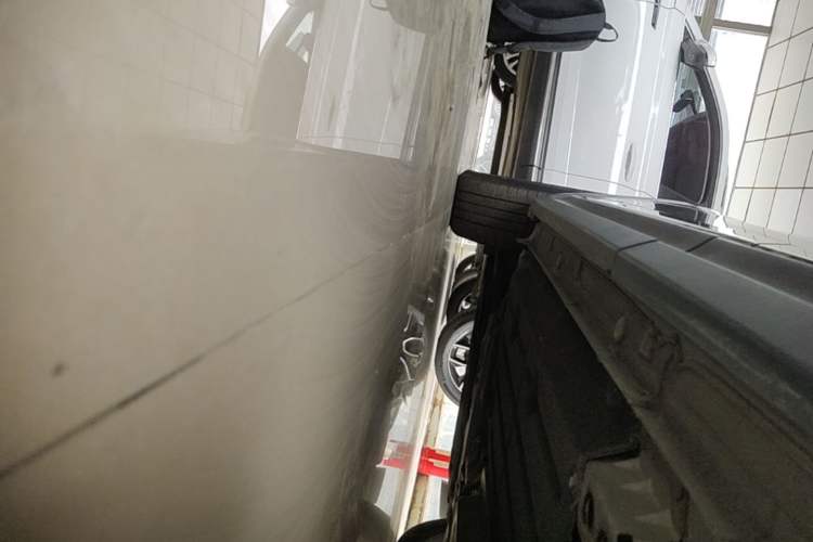 Used Lynk & Co 06 EM-P 2020 PHEV Plus Left Side Sill