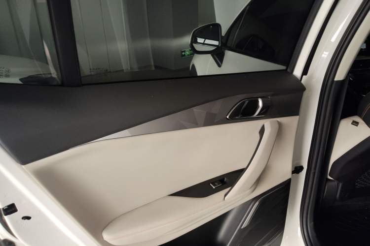 Used Lynk & Co 06 EM-P 2020 PHEV Plus Left Rear Door Interior
