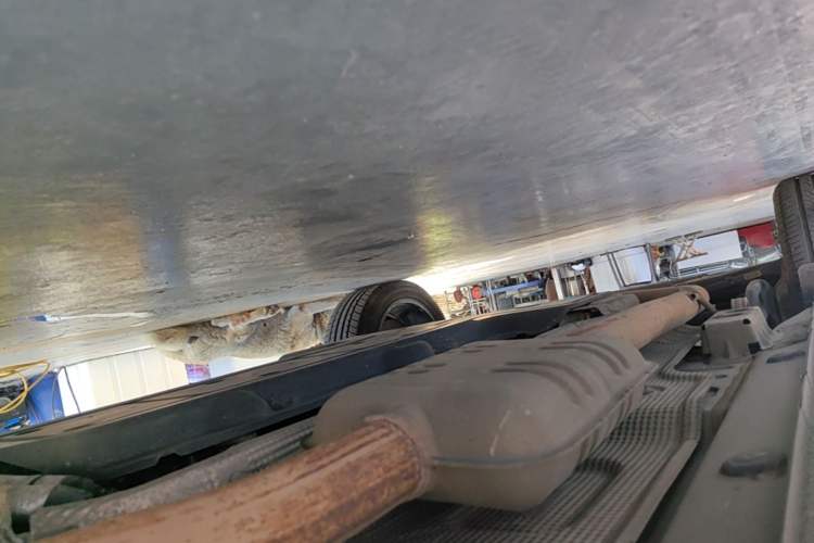 Used Lynk & Co 06 EM-P 2022 PHEV 84 km Range Pro Version Right Side Sill