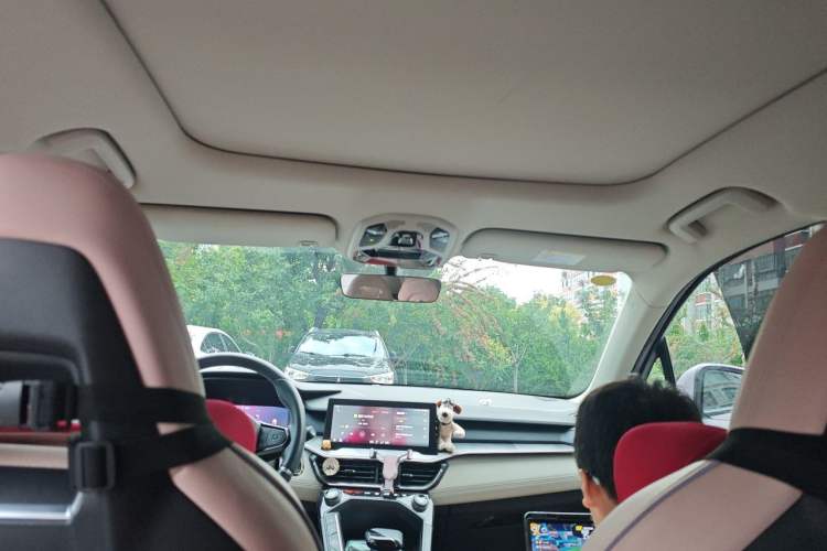 Used Lynk & Co 06 EM-P 2022 PHEV Shero Pink Special Edition Headliner