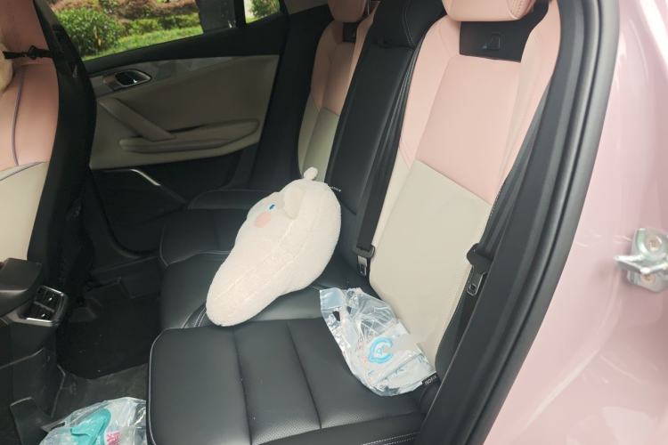 Used Lynk & Co 06 EM-P 2022 PHEV Shero Pink Special Edition Left Rear Seat