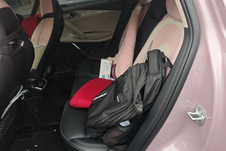 Used Lynk & Co 06 EM-P 2022 PHEV Shero Pink Special Edition Left Rear Seat