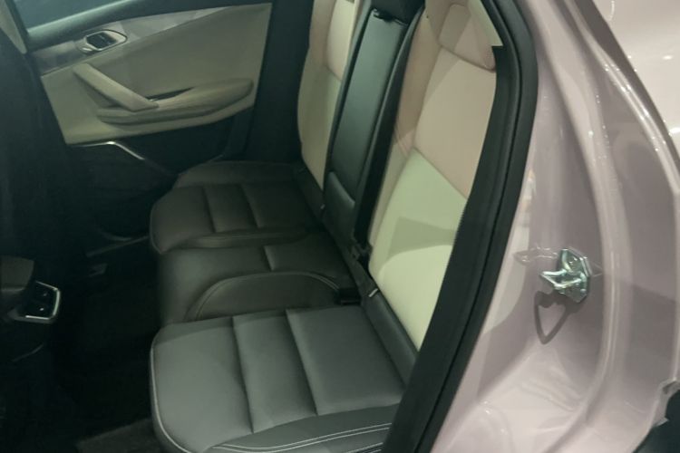 Used Lynk & Co 06 EM-P 2022 PHEV Shero Pink Special Edition Left Rear Seat