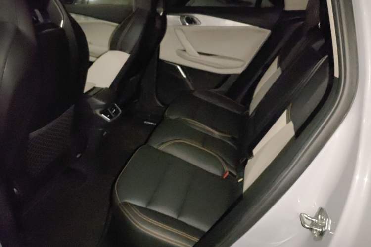 Used Lynk & Co 06 EM-P 2022 PHEV Shero Pink Special Edition Left Rear Seat