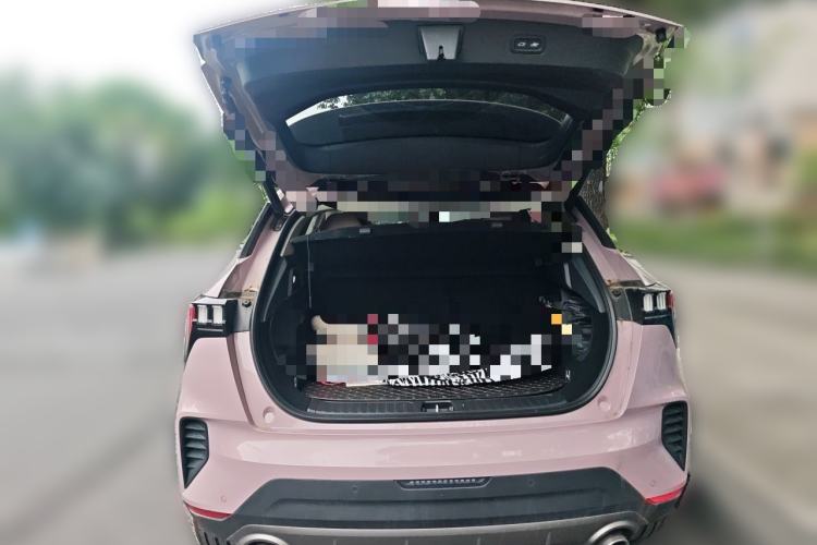 Used Lynk & Co 06 EM-P 2022 PHEV Shero Pink Special Edition Trunk