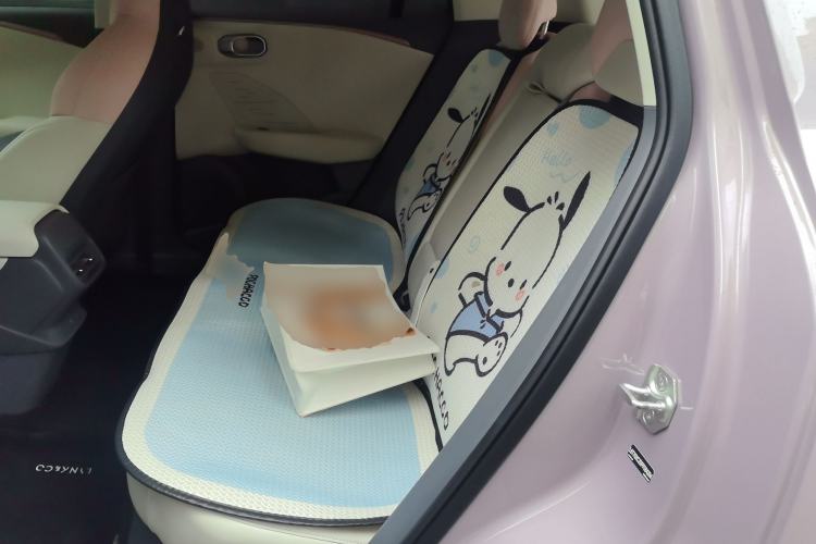 Used Lynk & Co 06 EM-P 2023 EM-P 126 Long-Range Halo Left Rear Seat
