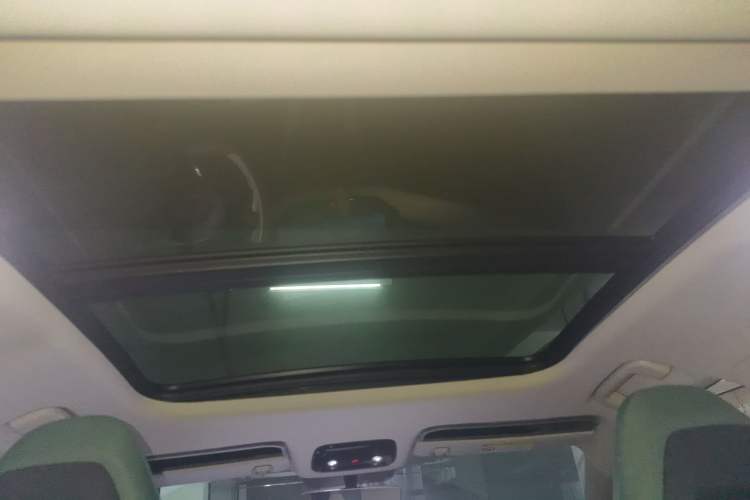 Used Lynk & Co 06 EM-P 2023 EM-P 126 Long-Range Pro Headliner