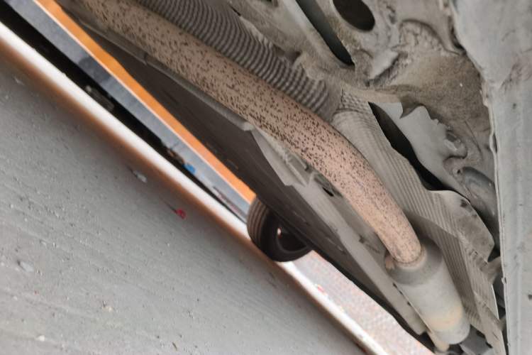 Used Lynk & Co 06 EM-P 2023 EM-P 126 Long-Range Halo Chassis Front Left