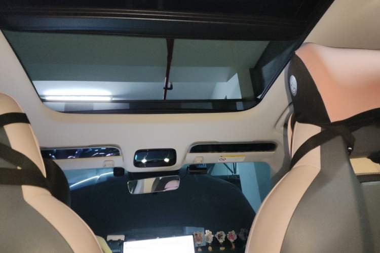 Used Lynk & Co 06 EM-P 2023 EM-P 126 Long-Range Halo Headliner