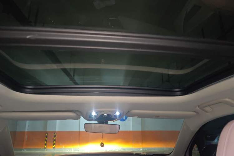 Used Lynk & Co 06 EM-P 2023 1.5T Remix PHEV Shero Headliner