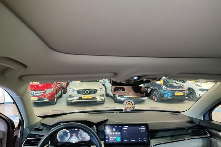 Used Lynk & Co 06 EM-P 2023 1.5T Remix PHEV Shero Headliner