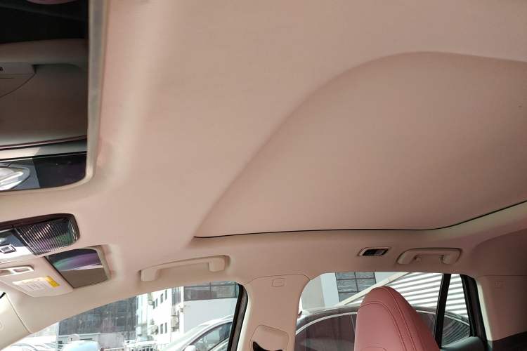 Used Lynk & Co 06 EM-P 2023 EM-P 126 Long-Range Halo Headliner