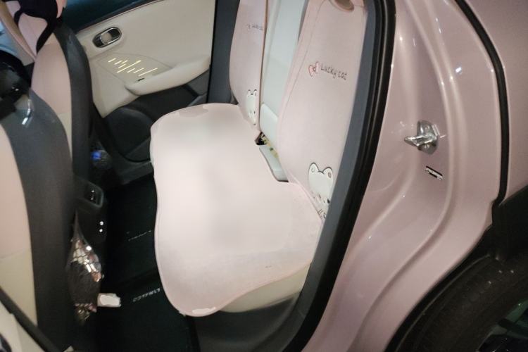 Used Lynk & Co 06 EM-P 2023 EM-P 126 Long-Range Halo Left Rear Seat