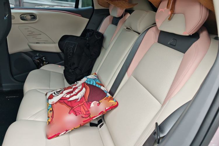 Used Lynk & Co 06 EM-P 2023 EM-P 126 Long-Range Halo Left Rear Seat