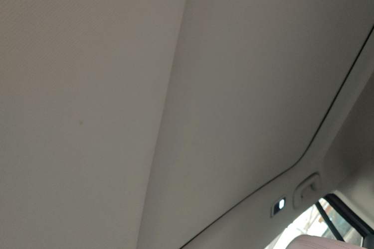 Used Lynk & Co 06 EM-P 2023 EM-P 126 Long-Range Halo Headliner