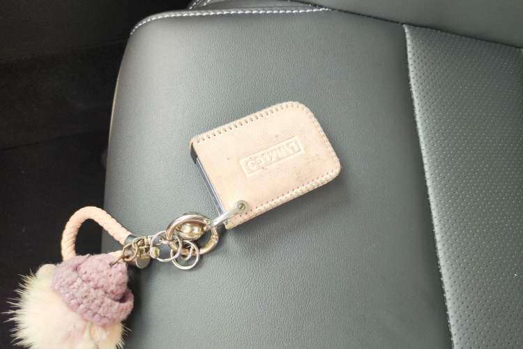 Used Lynk & Co 06 EM-P 2023 1.5T Remix PHEV Shero Interior 1