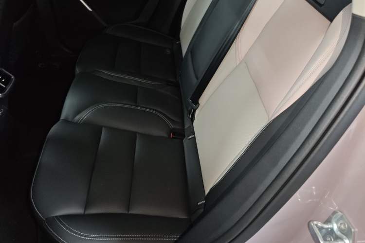 Used Lynk & Co 06 EM-P 2023 1.5T Remix PHEV Shero Left Rear Seat