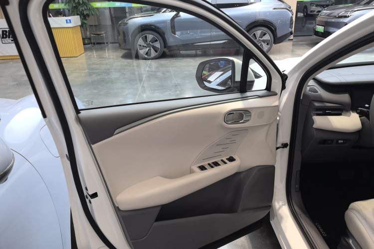 Used Lynk & Co 06 EM-P 2023 EM-P 56 Standard Range Pro Left Front Door Interior