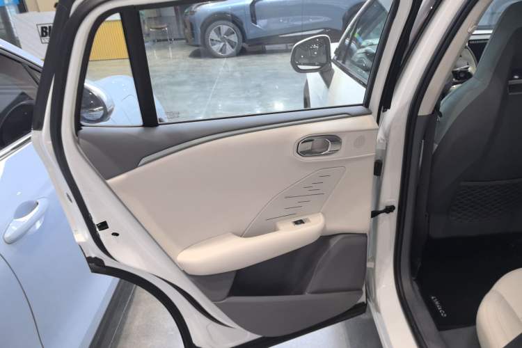 Used Lynk & Co 06 EM-P 2023 EM-P 56 Standard Range Pro Left Rear Door Interior