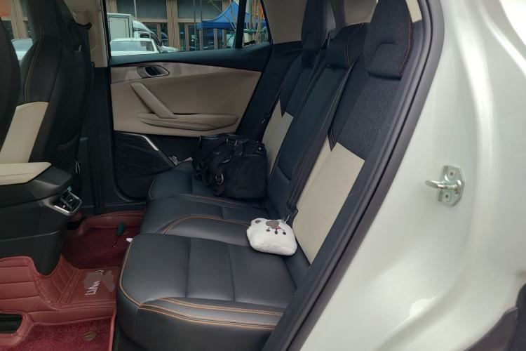 Used Lynk & Co 06 EM-P 2023 1.5T Remix PHEV Pro Left Rear Seat