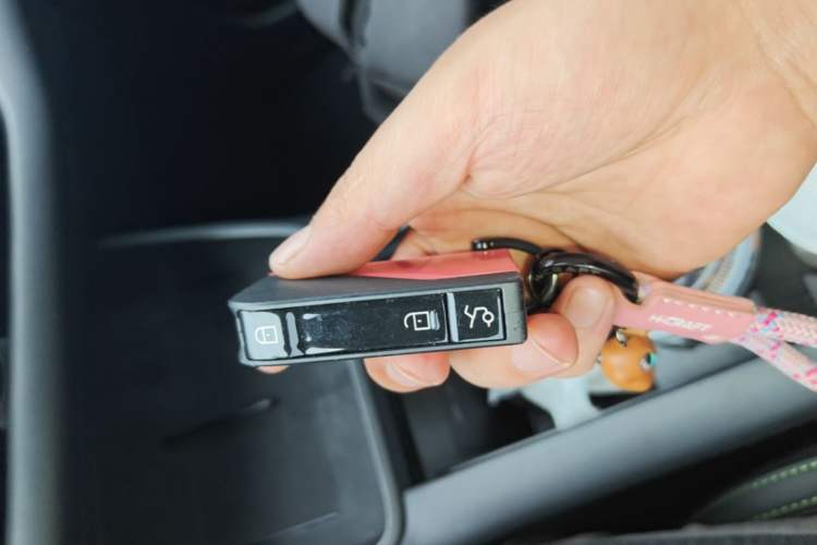 Used Lynk & Co 06 EM-P 2025 EM-P 126 Long-Range Halo Interior 1