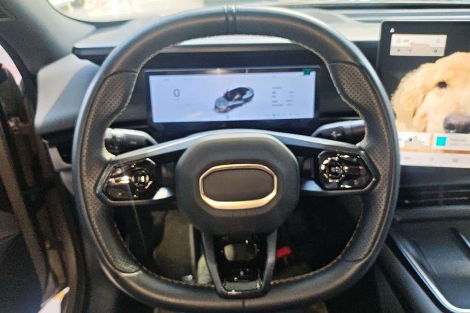 Used Lynk & Co 07 2024 EM-P 126 Long-Range Halo Steering Wheel
