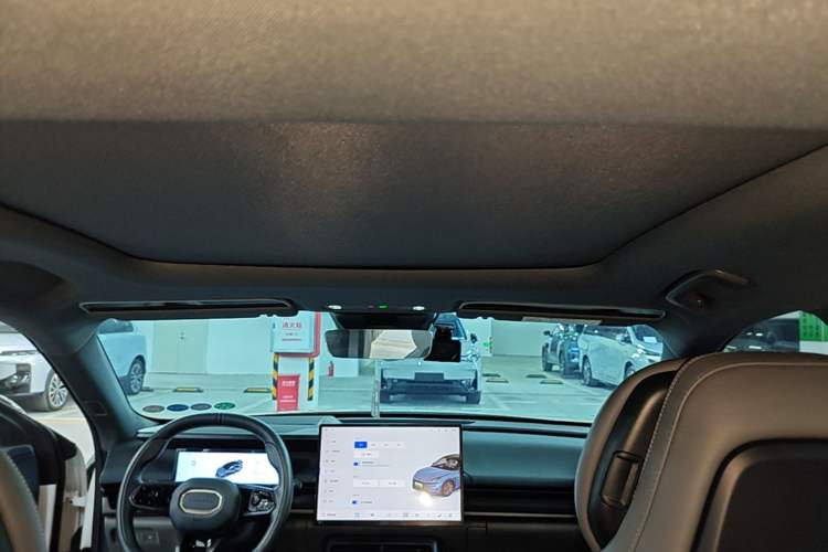 Used Lynk & Co 07 2024 EM-P 126 Long-Range Pro Headliner