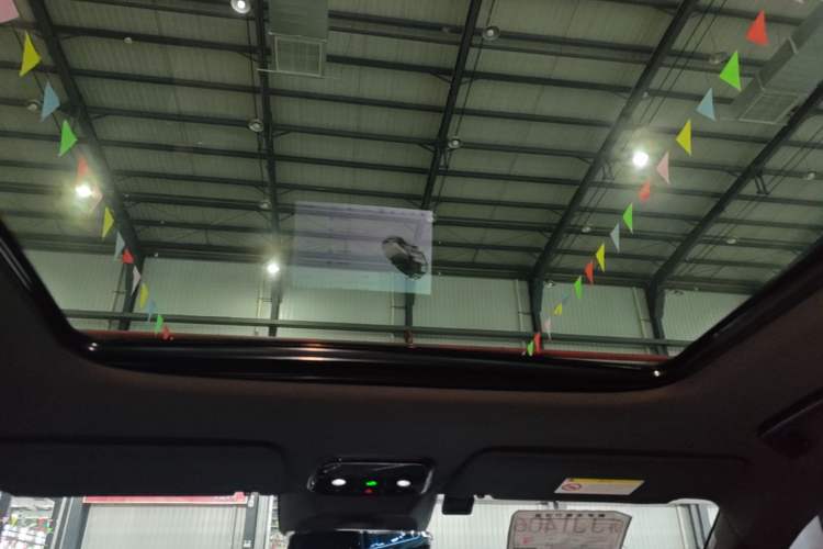 Used Lynk & Co 08 EM-P 2023 120km Long-Range Halo Headliner