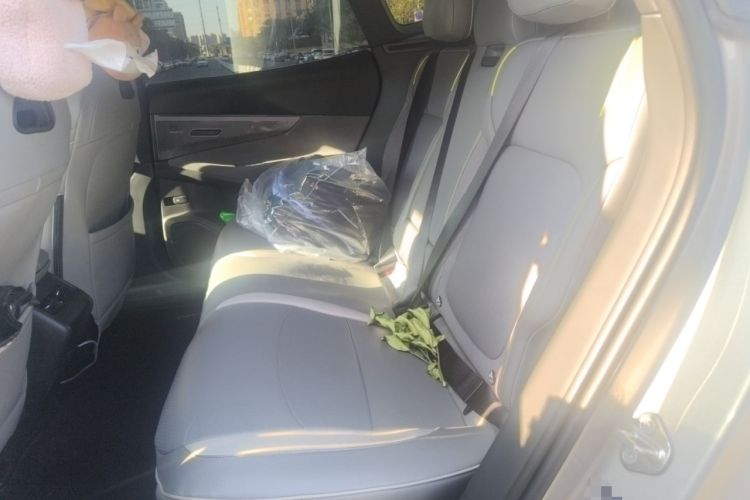 Used Lynk & Co 08 EM-P 2023 245km Ultra-Long Range Halo Left Rear Seat