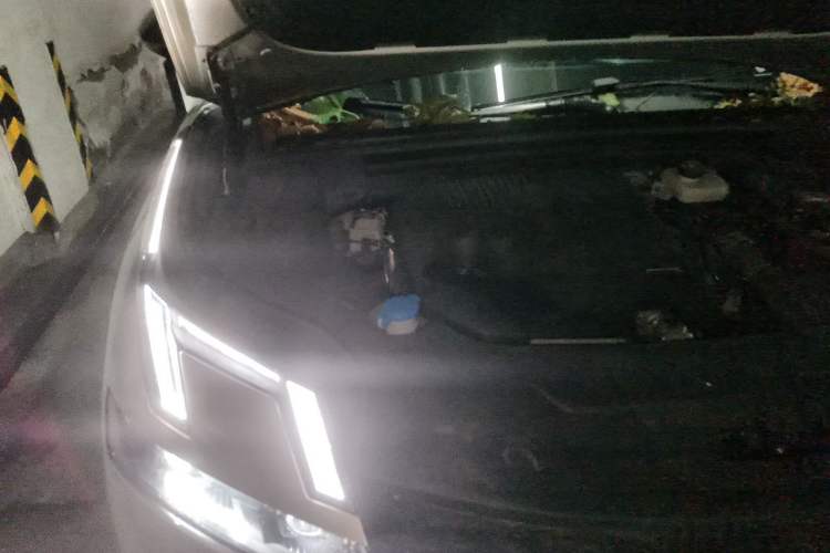 Used Lynk & Co 08 EM-P 2023 120km Long-Range Halo Engine Bay Right