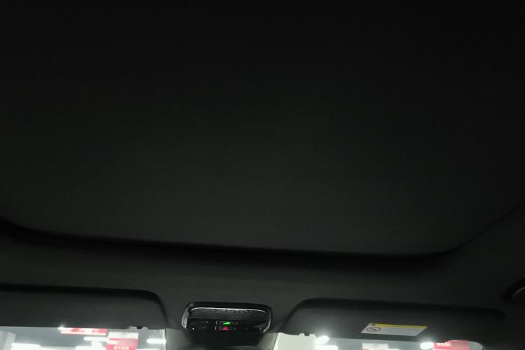 Used Lynk & Co 08 EM-P 2024 120km Long-Range Plus Headliner