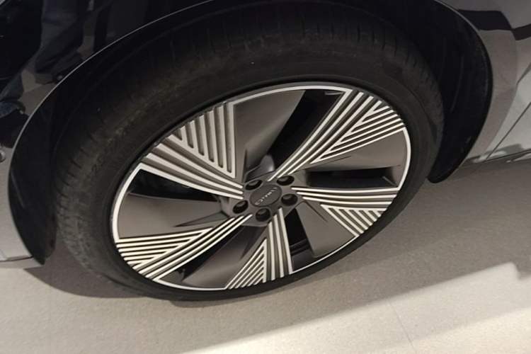 Used Lynk & Co 08 EM-P 2025 220 km All-Wheel-Drive Performance Halo Exterior 4