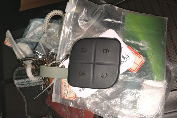 Used Lynk & Co 08 EM-P 2025 120km Long-Range Plus Vehicle Key