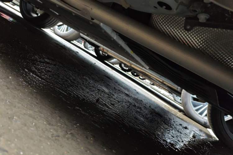 Used Lynk & Co 08 EM-P 2025 220 km All-Wheel-Drive Performance Halo Chassis Rear Left